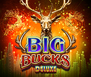 Big Bucks Deluxe